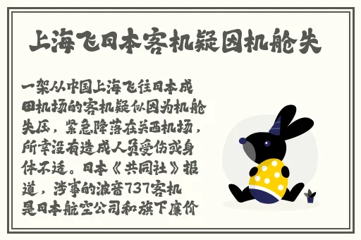 番茄视频在线播放资源